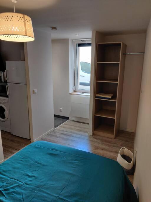 Appartement Cosy Avec Parking Proche Gare Dombasle-sur-Meurthe Exteriér fotografie